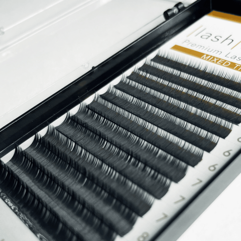 Lower/Short Eyelash Extensions