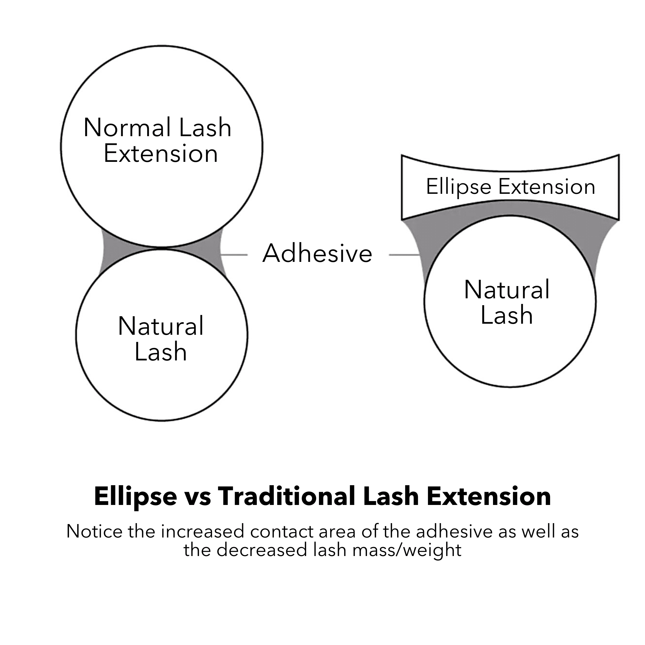 Ellipse Eyelash Extension Comparison